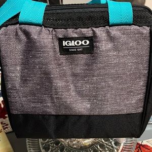 Igloo lunch bag/cooler